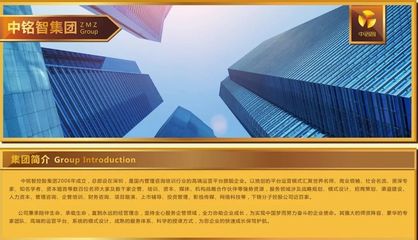 中銘智控股（深圳） 專業投資管理咨詢服務解析